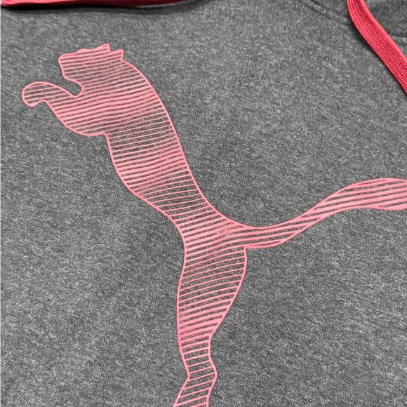 #484 Puma Men's Charcoal Hoodie with Red Highlights - Picture 7 of 13